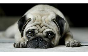 工地打混凝土最郁闷的9件事！